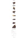 Salvatore Gancini Ornament Loafer Brown - SALVATORE FERRAGAMO - BALAAN.