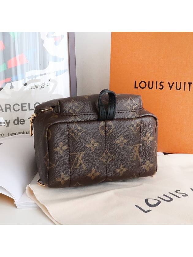 Palm Springs Monogram Mini Backpack Brown - LOUIS VUITTON - BALAAN 7