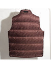 Oblique Down Vest Brown - DIOR - BALAAN 3