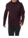 Cormac Heavyweight Hooded Long Sleeve T-Shirt Phantasm - ARC'TERYX - BALAAN 1