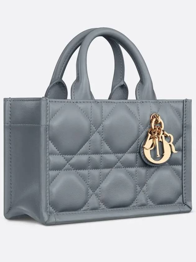 Macrocannage Calfskin Strap Mini Book Tote Bag Grey - DIOR - BALAAN 3