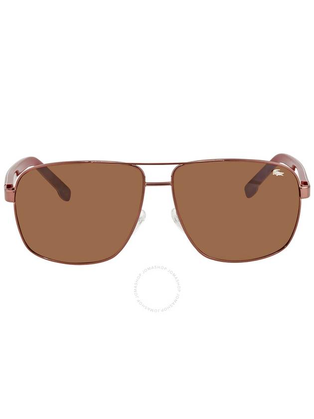 Lacoste Brown Shaded Navigator Unisex Sunglasses L162S 210 61 - LACOSTE - BALAAN 1