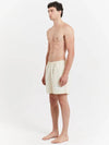 Big Graffiti Water Shorts Cream - STUSSY - BALAAN 5