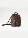 Palm Springs Monogram Mini Backpack Brown - LOUIS VUITTON - BALAAN 4