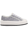 Walk'n' Platform Low Top Sneakers Grey - DIOR - BALAAN 1