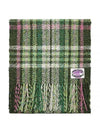 Check Print Wool Scarf Green - ACNE STUDIOS - BALAAN 3