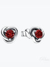 January birthstone eternity stud earrings 292334C06 - PANDORA - BALAAN 2