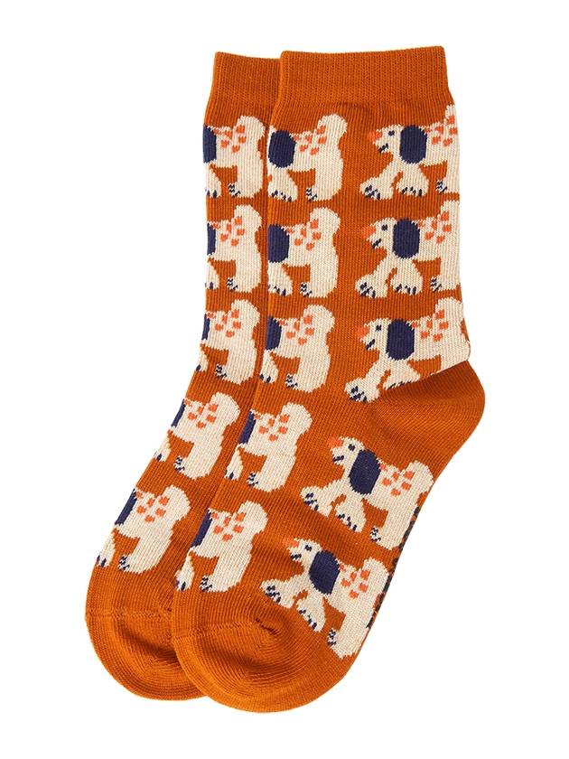 Kids socks B224AI052 991 2 piece set - BOBO CHOSES - BALAAN 3