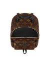 Palm Springs Monogram Mini Backpack Brown - LOUIS VUITTON - BALAAN 3