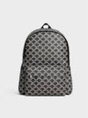 Triomphe Canvas Two-Tone Calfskin Medium Backpack Black - CELINE - BALAAN 2