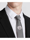 Cravat Charm Neck Tie Grey - DIOR - BALAAN 3