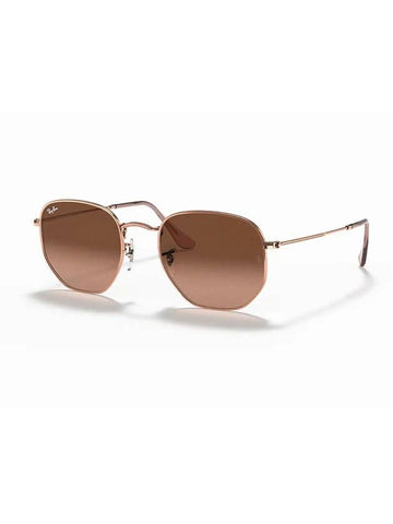 Hexagonal Flat Lens Sunglasses Brown - RAY-BAN - BALAAN 1