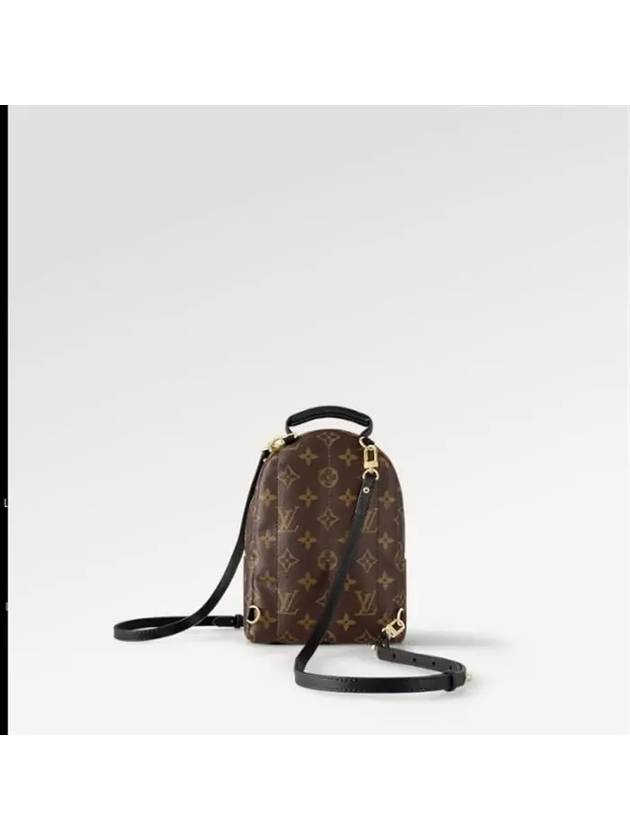 Palm Springs Monogram Mini Backpack Brown - LOUIS VUITTON - BALAAN 9