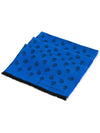 Skull Print Wool Silk Muffler Blue - ALEXANDER MCQUEEN - BALAAN 4