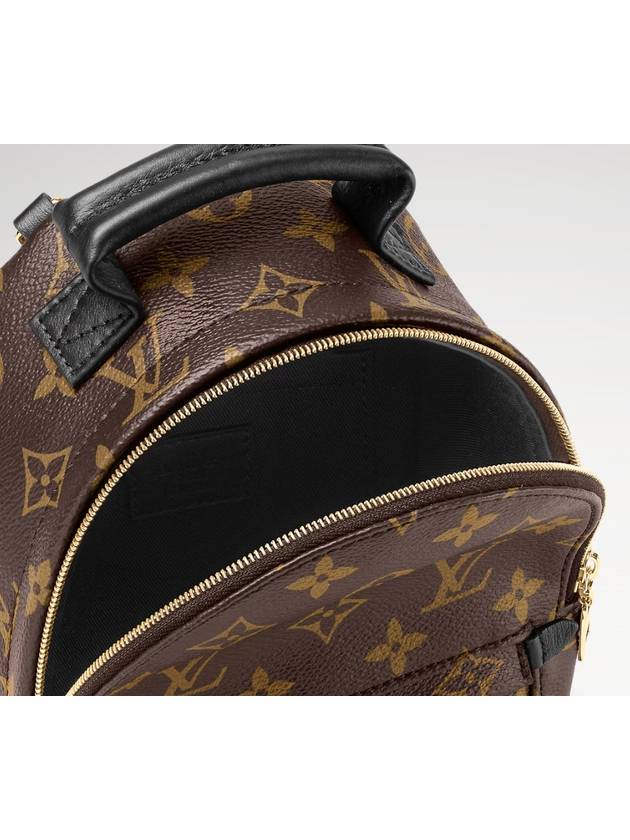 Palm Springs Monogram Mini Backpack Brown - LOUIS VUITTON - BALAAN 6