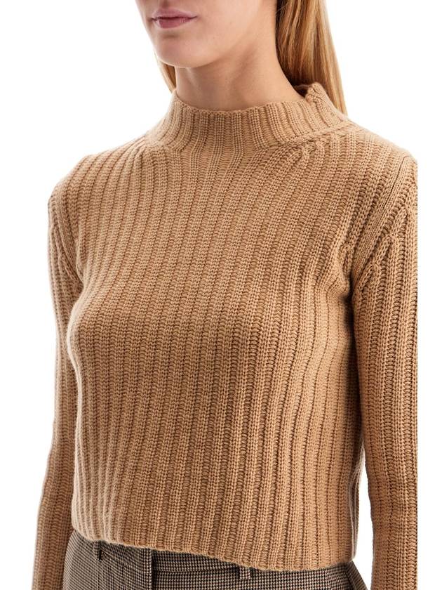 Aloa Wool Cashmere Cropped Knit Top Brown - MAX MARA - BALAAN 5