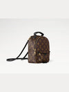 Palm Springs Monogram Mini Backpack Brown - LOUIS VUITTON - BALAAN 4