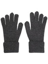 Zamia Gloves Grey - MAX MARA - BALAAN 3