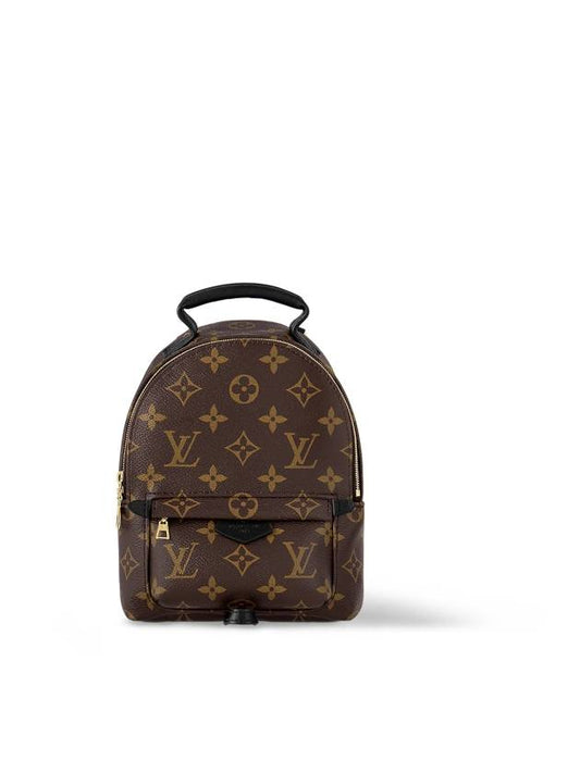 Palm Springs Monogram Mini Backpack Brown - LOUIS VUITTON - BALAAN 2