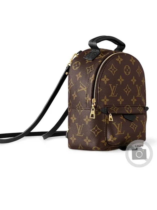 Palm Springs Monogram Mini Backpack Brown - LOUIS VUITTON - BALAAN 5