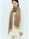 Wsdalia Embroidered Logo Cashmere Scarf Maron - MAX MARA - BALAAN 3