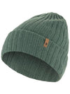 hat 77387614 Free patina green - FJALL RAVEN - BALAAN 2