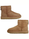 Classic Mini 2 Winter Boots Chestnut - UGG - BALAAN 4