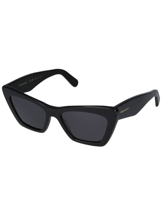 Salvatore Ferragamo Sunglasses - SALVATORE FERRAGAMO - BALAAN 2