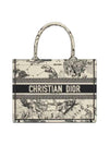 Medium Book Tote Bag Latte - DIOR - BALAAN 1