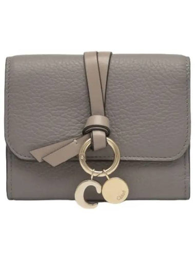 alphabet wallet cashmere gray - CHLOE - BALAAN 1