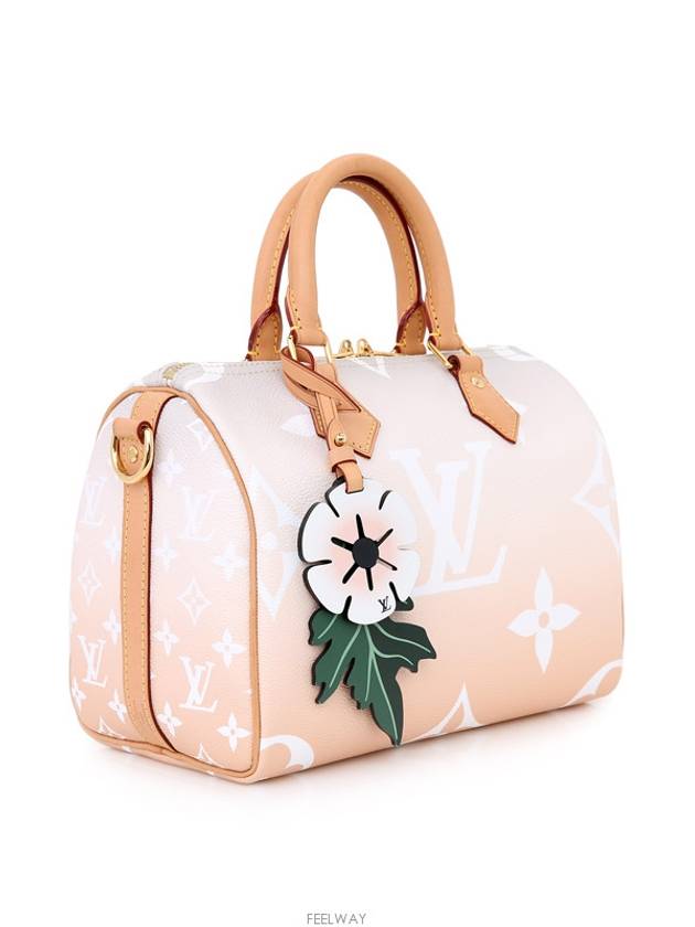 women tote bag - LOUIS VUITTON - BALAAN 4