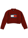 Logo V neck cropped knit top red - TOMMY HILFIGER - BALAAN 1