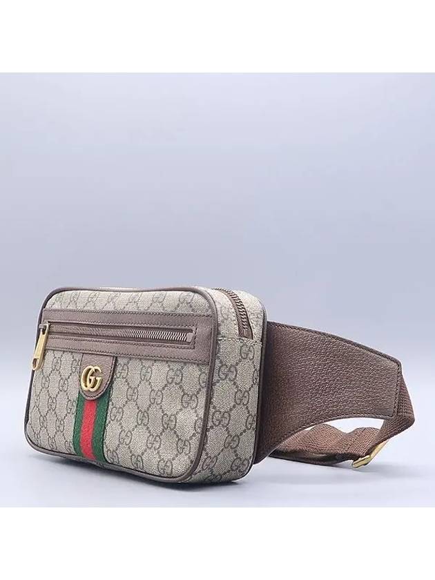 574796 GG Logo PVC Supreme Canvas Ophidia Hip Sack and Cross Belt Bag - GUCCI - BALAAN 3