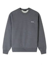 Boxy Petit VPC Sweatshirt Grey - A.P.C. - BALAAN 2