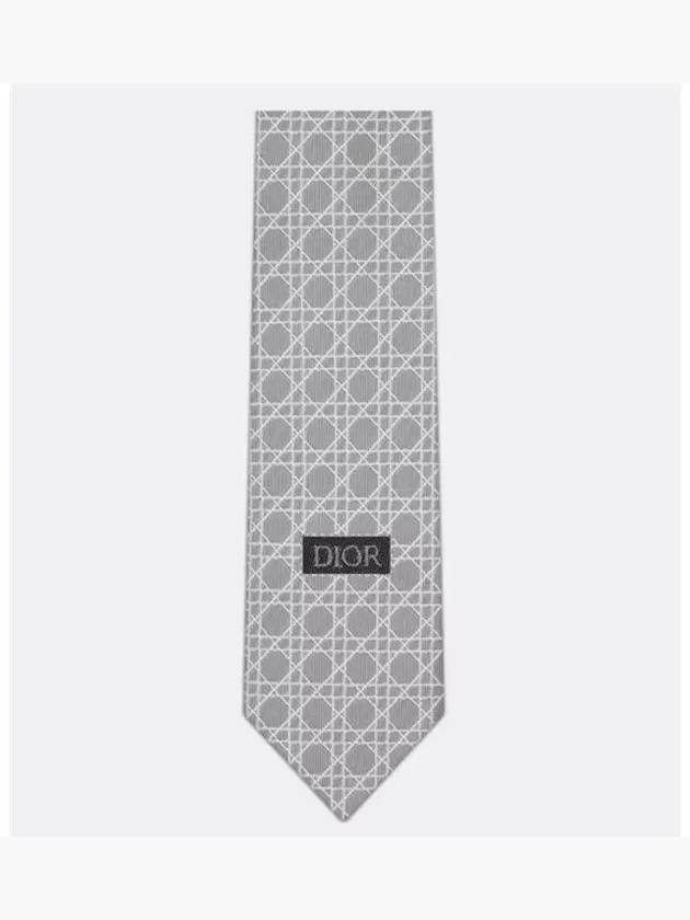 Striped Cannage Silk Tie Grey - DIOR - BALAAN 4