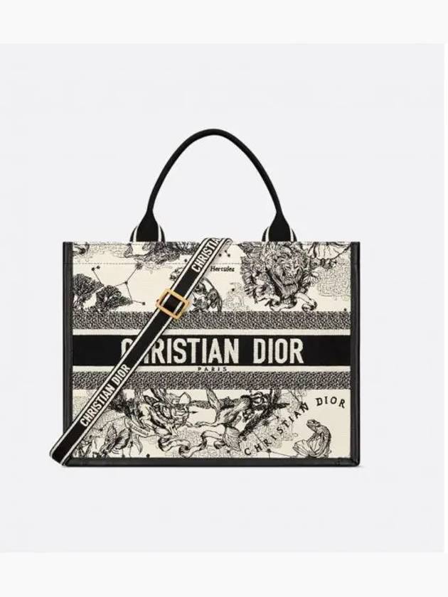 Zodiac Embroidery Medium Book Tote Bag Latte - DIOR - BALAAN 2