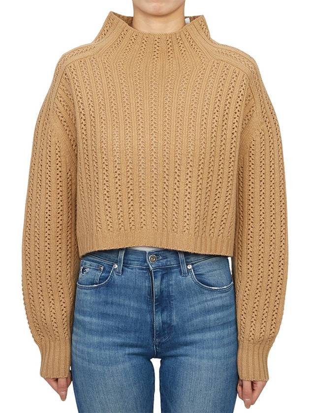 Hodeida Crop Knit Top Brown - MAX MARA - BALAAN 2