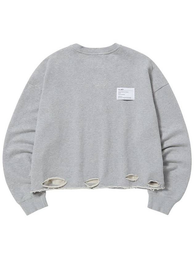 Destroy Love Safely Semi Crop Sweatshirt Grey - ULKIN - BALAAN 3