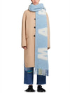 Maxi Logo Mohair Wool Muffler Aquamatin - MARNI - BALAAN 3