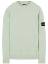 Men's Wappen Patch Sweatshirt Light Green - STONE ISLAND - BALAAN 2