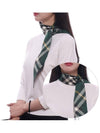 Vintage Check Pointed Tip Scarf Green - BURBERRY - BALAAN 3