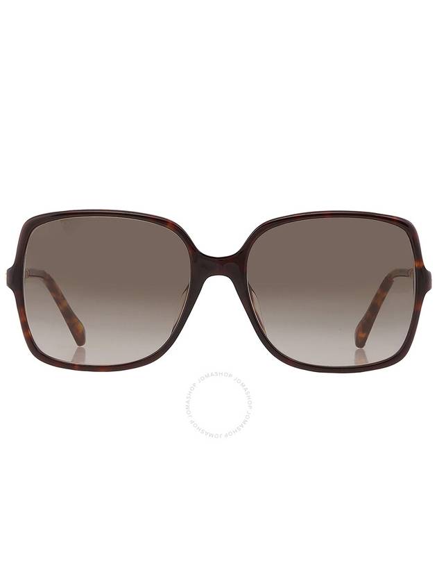 Jimmy Choo Brown Gradient Square Ladies Sunglasses EPPIE/G/S 0086/HA 57 - JIMMY CHOO - BALAAN 1