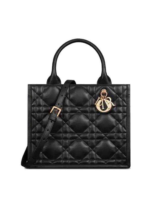 Macrocannage Calfskin Small Book Tote Bag Black - DIOR - BALAAN 1