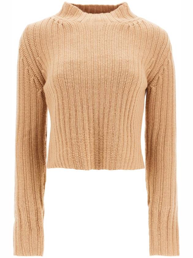 Aloa Wool Cashmere Cropped Knit Top Brown - MAX MARA - BALAAN 2