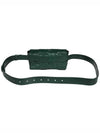 Intrecciato Cassette Mini Belt Bag Rain Tree Green - BOTTEGA VENETA - BALAAN 3