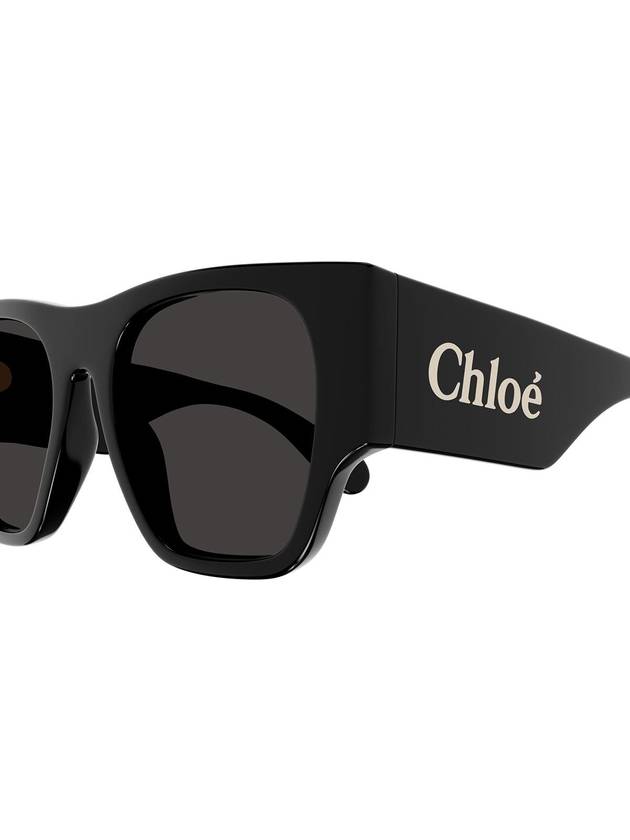 Chloé Sunglasses - CHLOE - BALAAN 3