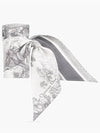 Toile de Jouy Sauvage Mitzah Silk Twill Scarf Grey - DIOR - BALAAN 5