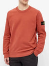 Wappen Patch Crewneck Sweatshirt Brick Red - STONE ISLAND - BALAAN 5