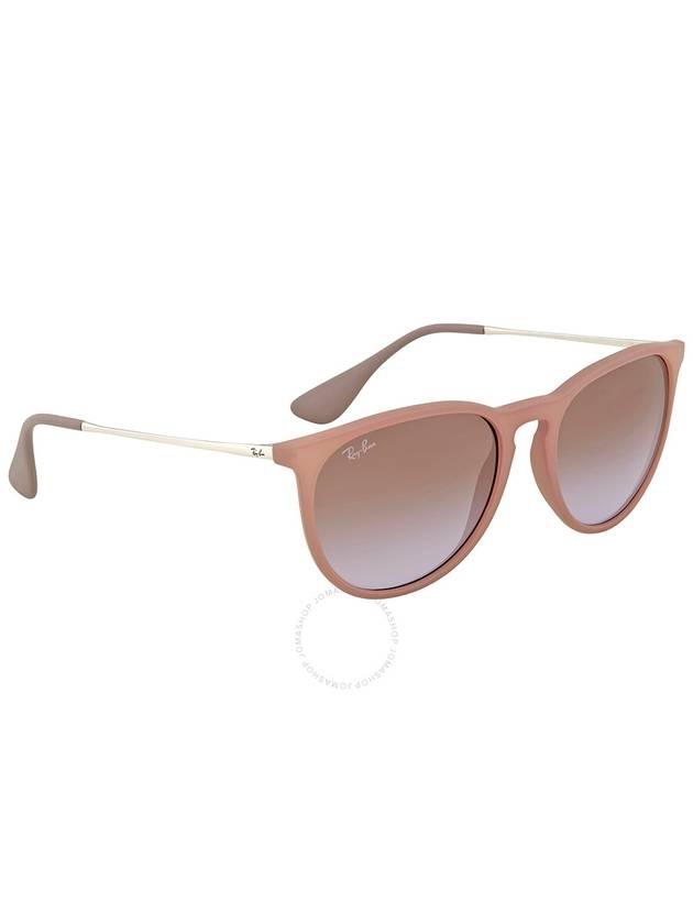 Erica Classic Round Frame Sunglasses Brown - RAY-BAN - BALAAN 3