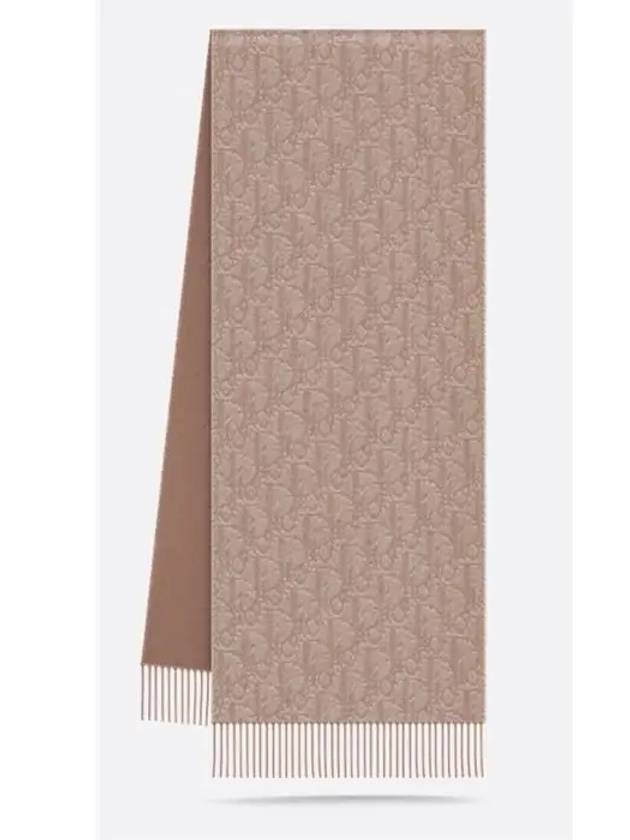 Oblique Double Sided Cashmere Wool Scarf Beige - DIOR - BALAAN 3